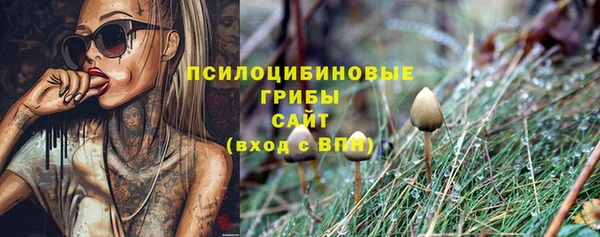 не бодяженный Мегион
