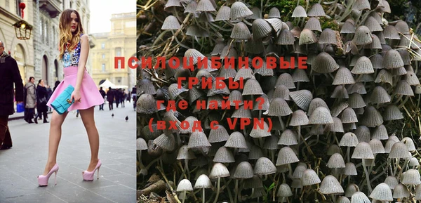 a pvp Медвежьегорск
