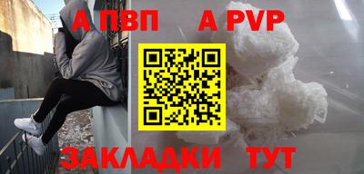 ешки Кингисепп