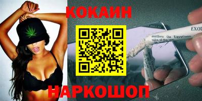 ешки Кингисепп
