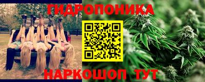 jwh Кимры