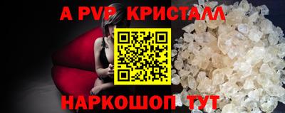 ешки Кингисепп