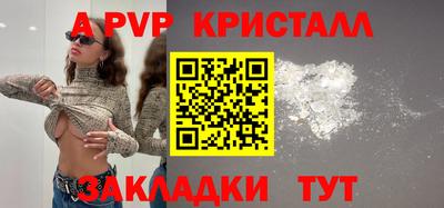 ешки Кингисепп