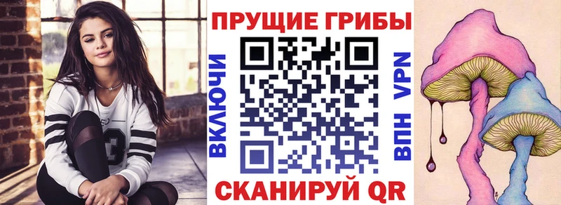 купить наркоту  Углич  Галлюциногенные грибы мицелий 