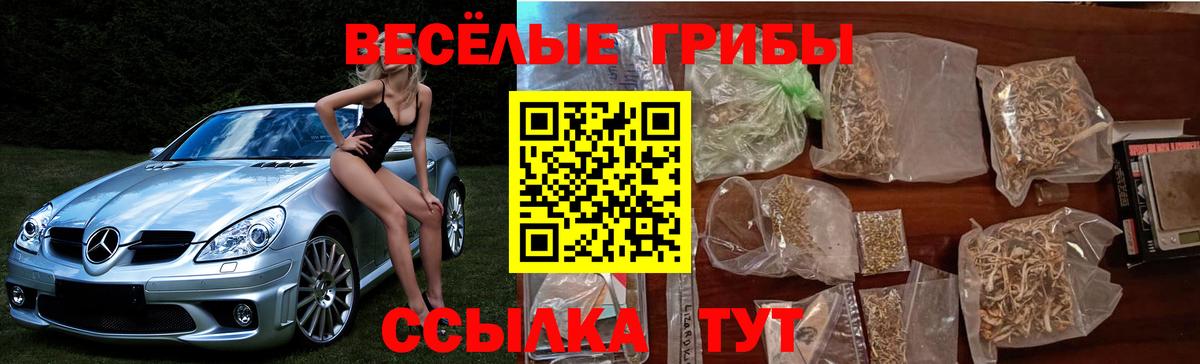 Галлюциногенные грибы прущие грибы Углич