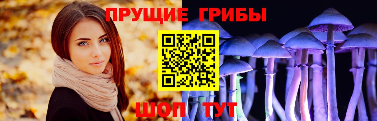 Псилоцибиновые грибы ЛСД  Вход с VPN  Углич  Галлюциногенные грибы мицелий 