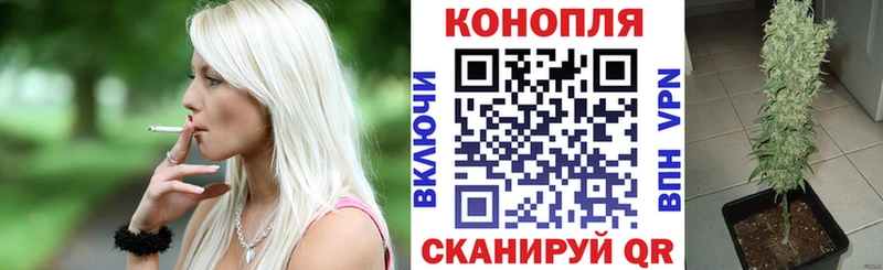 Каннабис MAZAR  Углич 